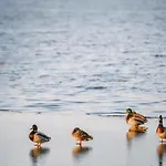 Western Lakeside