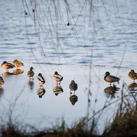 Ξενοδοχείο Western Lakeside 4*