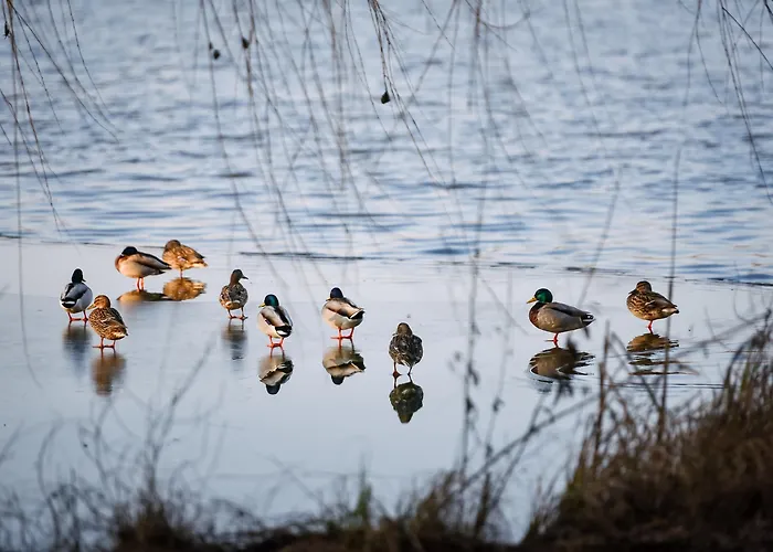 Hotel Western Lakeside 4*